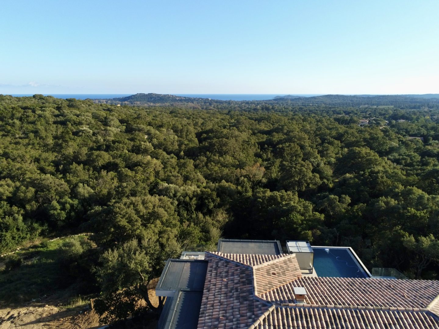 La forêt de chênes verts qui entoure la villa et la mer à l’horizon.